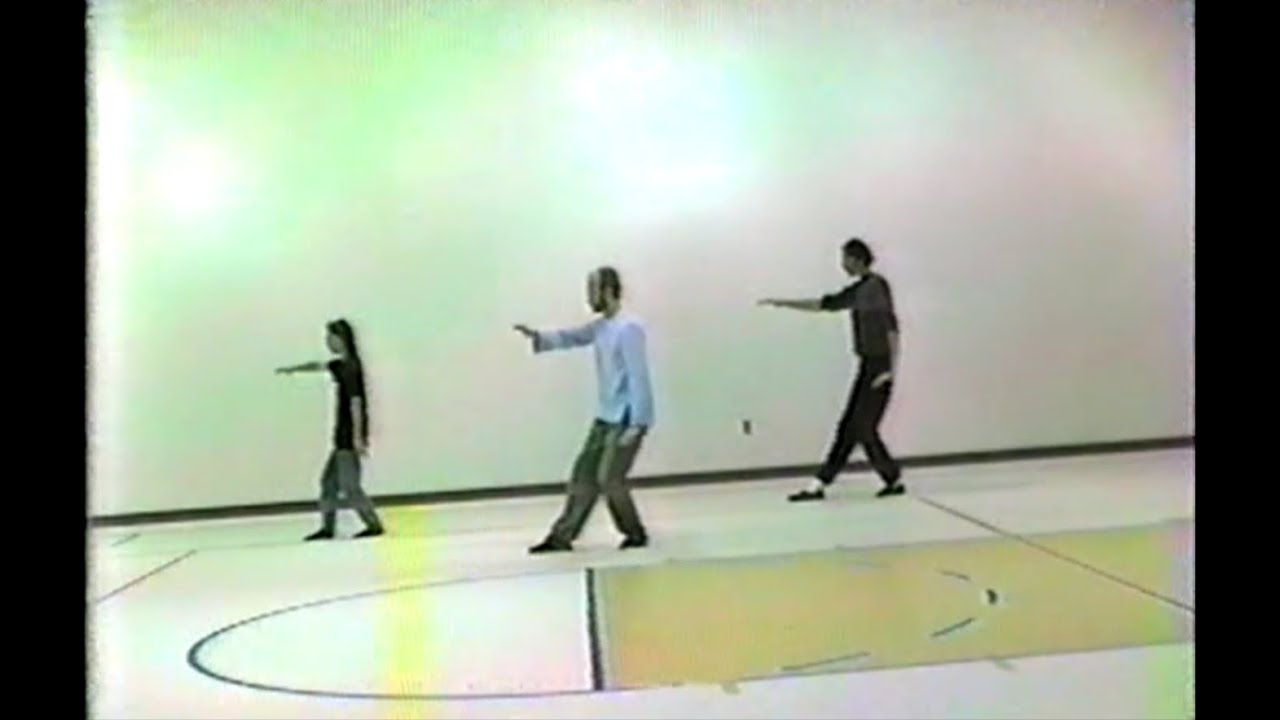 Tai Chi Long Yang Form with John Cooke, 1985