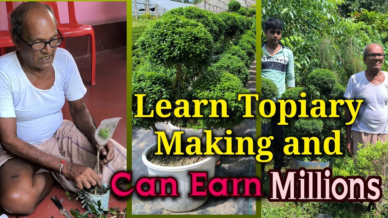 Learn Topiary Making from a Veteran Gardener and Earn Millions / Kamini Topiary Making Process