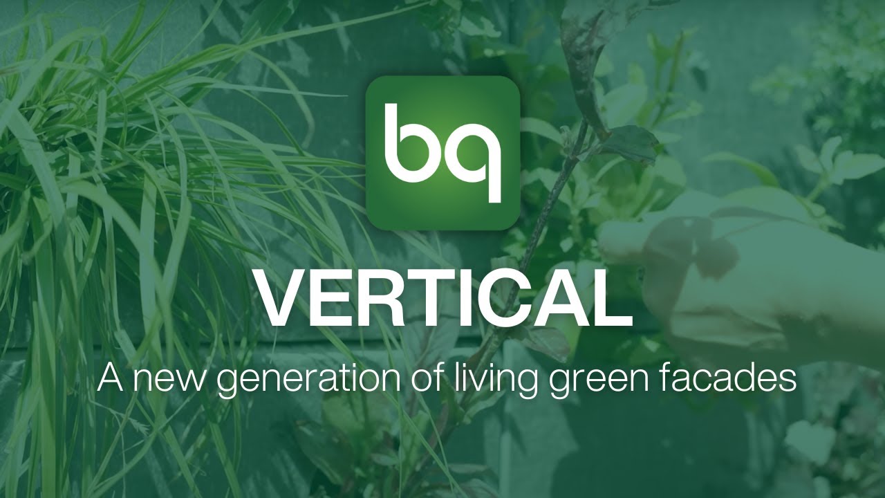 Dive into the technical aspects of VERTICAL