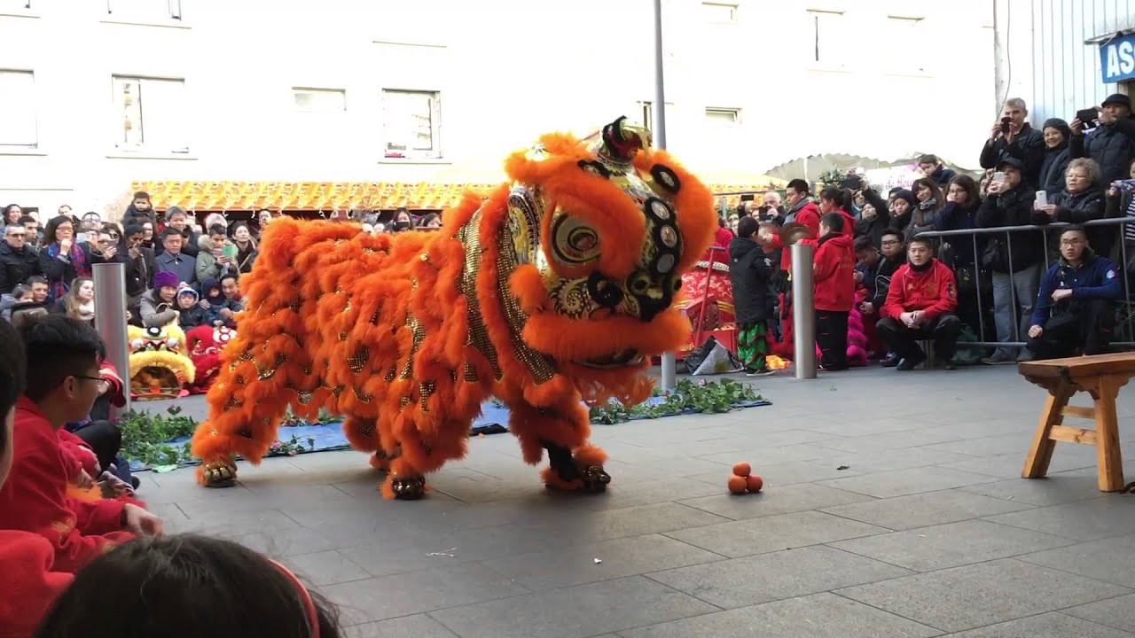 Lion Dance Franco Asiatique 英武堂 (LDFA) - Nouvel An Chinois 2016 - Tang Frères - David & Constant