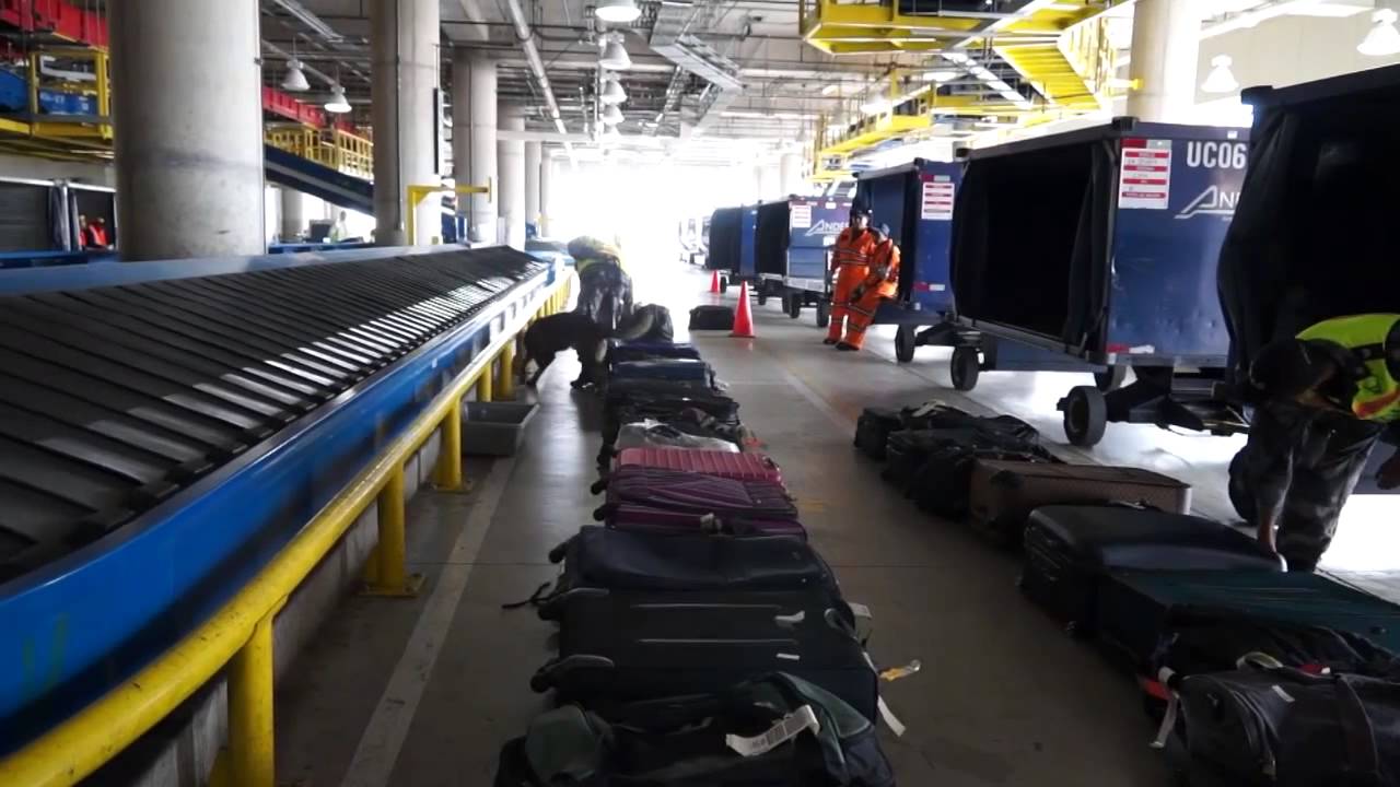 Control de Antinarcóticos en Aeropuerto Internacional Mariscal Sucre 