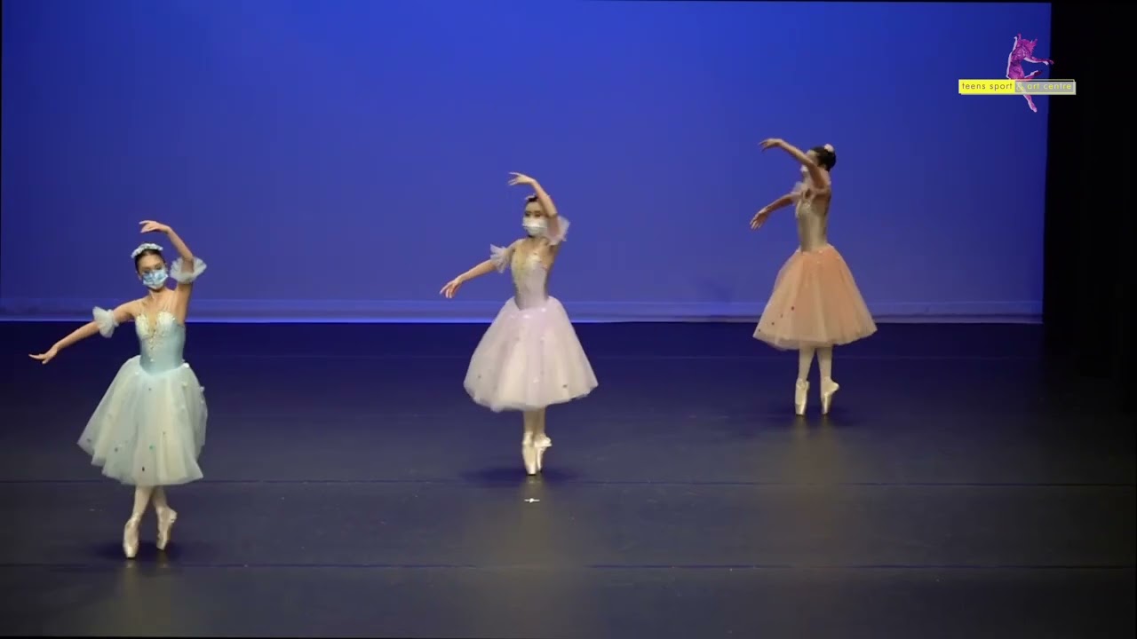 第50屆全港公開舞蹈比賽～芭蕾舞公開組金獎兼最佳表演獎 The Open Dance Contest~Ballet Open Gold & The Best Performance Award