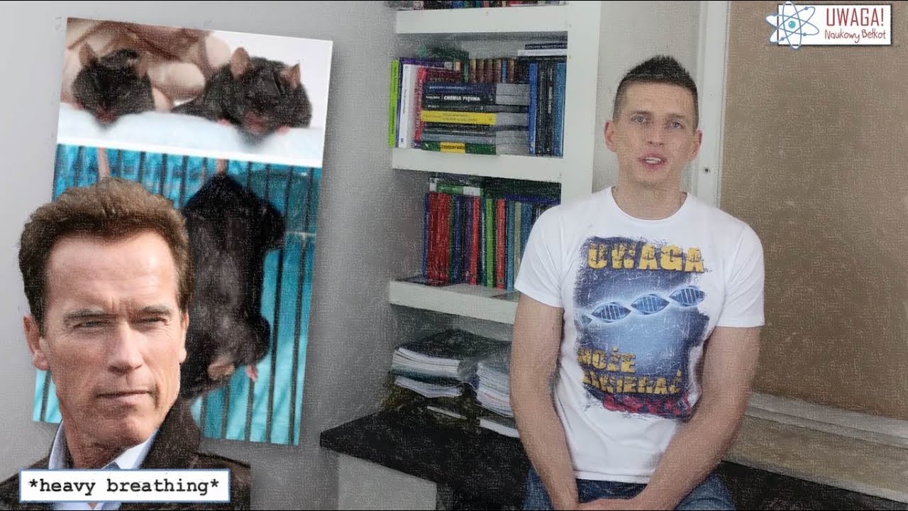 Jak (i po co) robi się GMO? | Słowo na sobotę #29