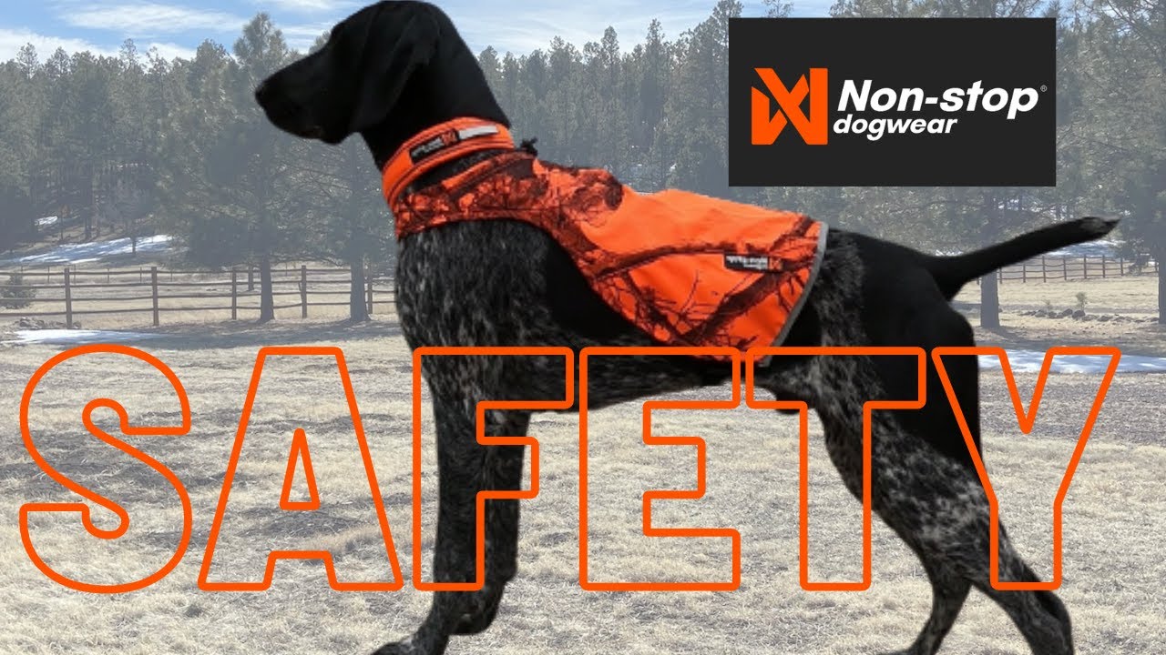 Dog Safety Gear for Outdoor Adventure from Non-Stop Dogwear