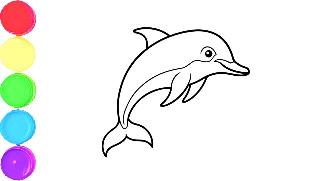 Dolphin Drawing, Painting & Coloring For Kids and Toddlers_ Child Art