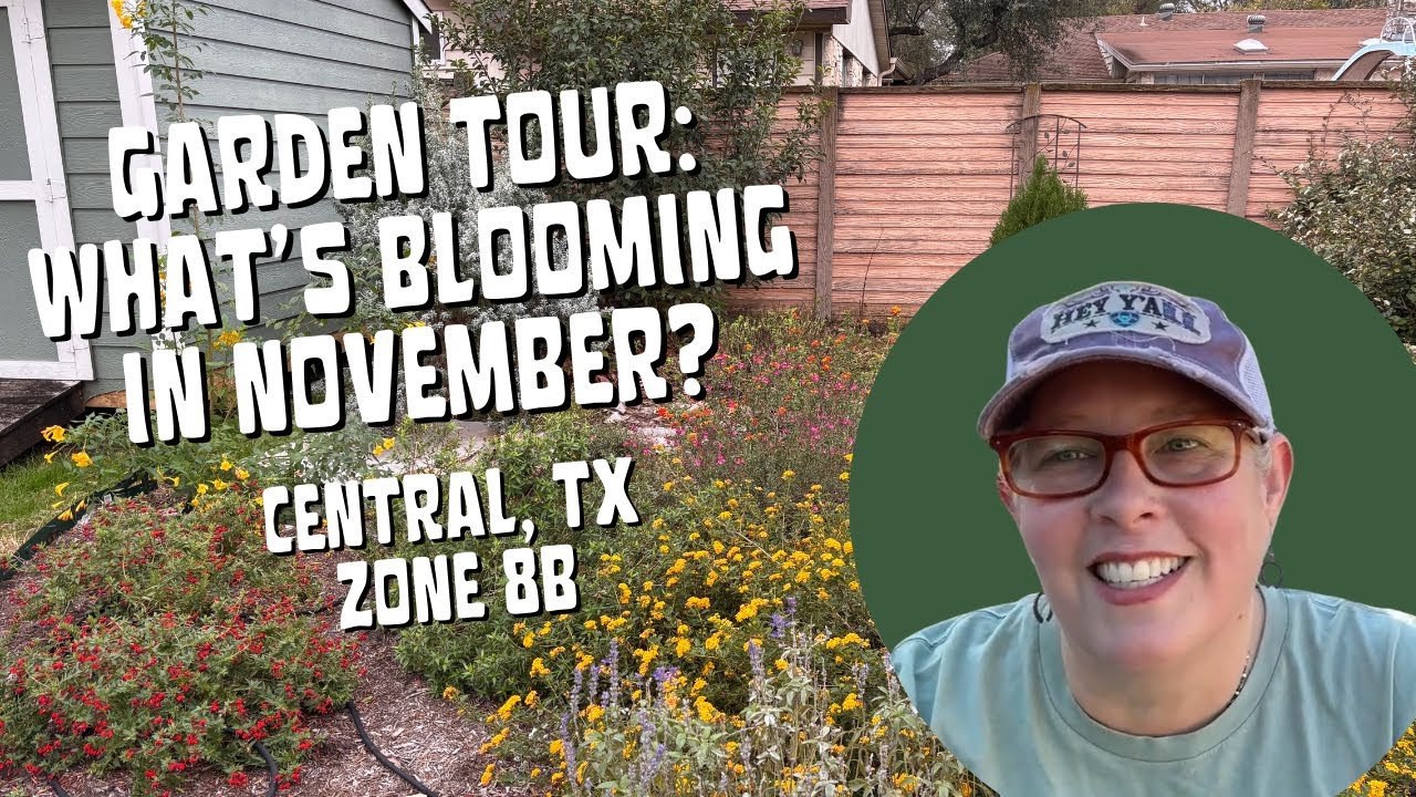 Ноябрьский тур по садам — что цветет в Центральном Техасе?