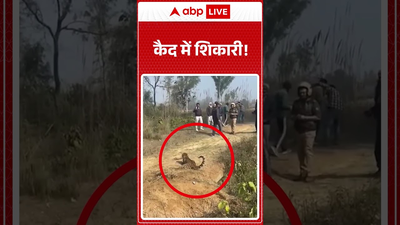 Viral News : कैद में शिकारी! | #shorts #breakingnews