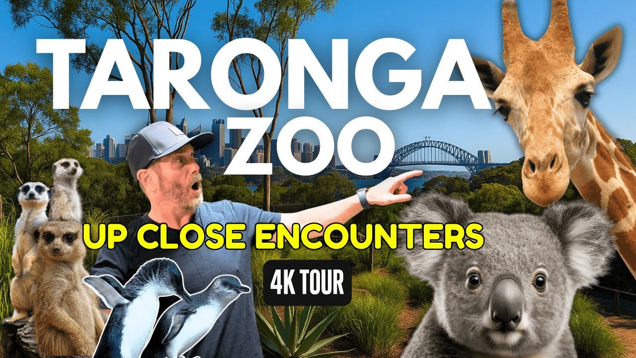 Australia’s Deadliest & Most Iconic Animals | Taronga Zoo Sydney