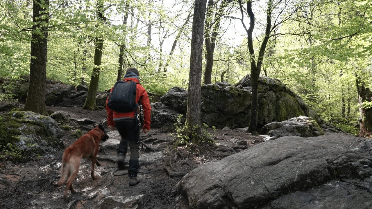 Solo Hiking vallée de la Hoegne