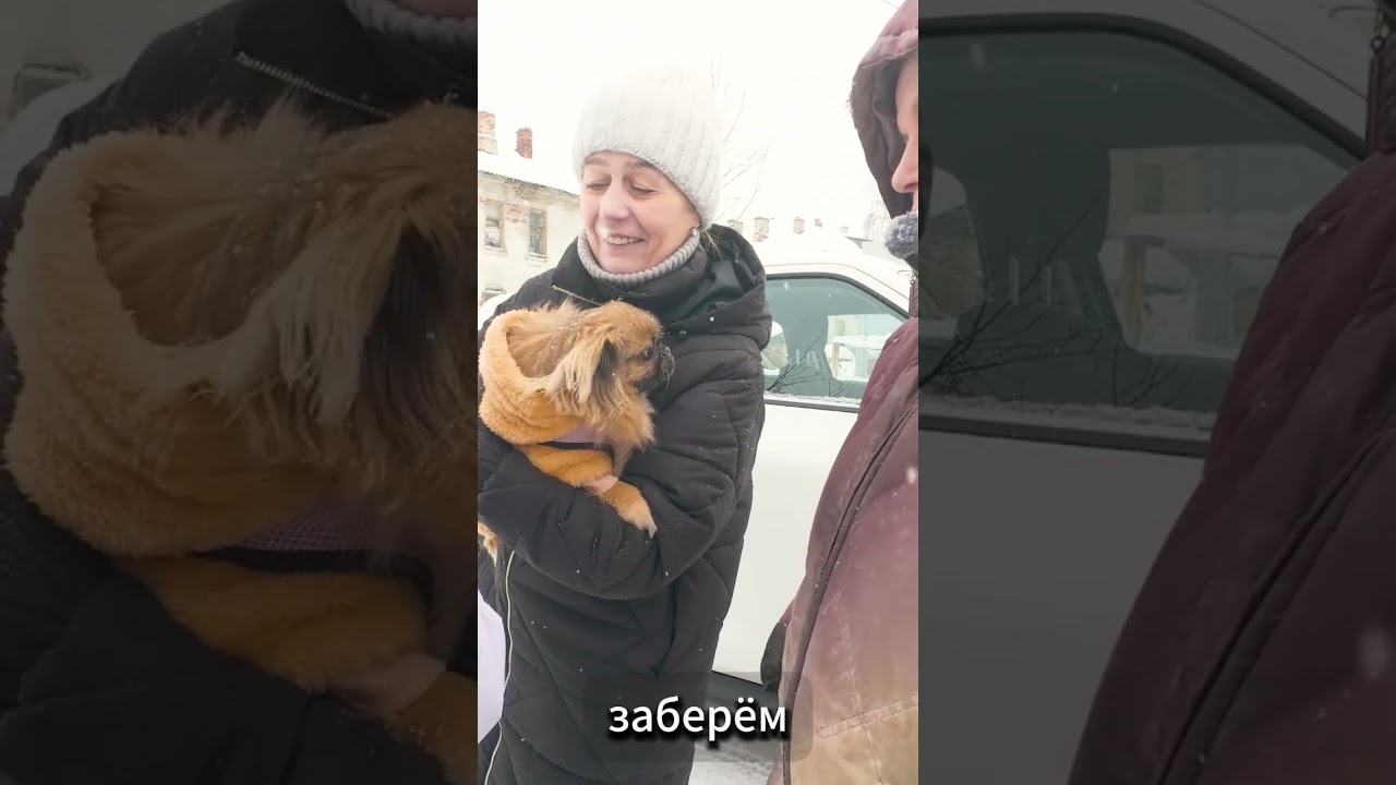 СОБАКА ПЛАЧЕТ ОТ СЧАСТЬЯ?! Бешеные выходные, 4 пристроя за день! Анонс!