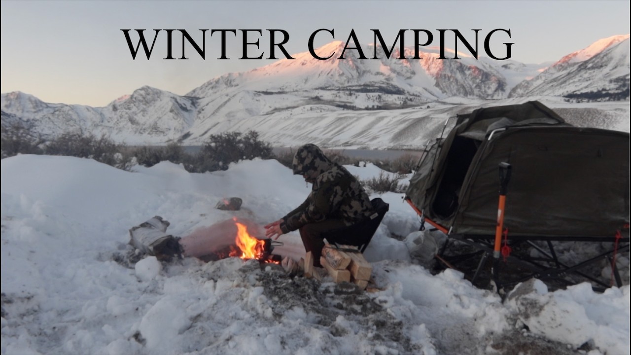 SOLO WINTER camp next to a LAKE in CA [ camping in the snow, off-roading, cooking over the fire ]