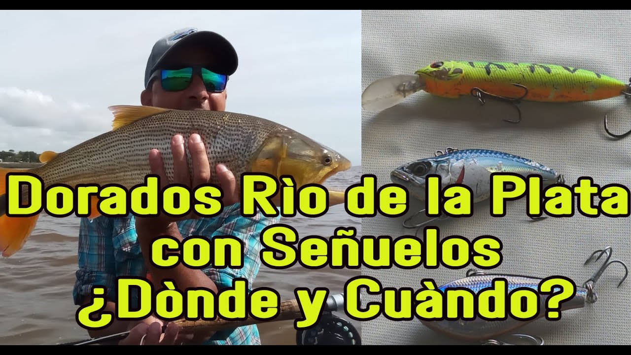 Un especialista Mariano  nos explica y enseña la pesca de Dorados en el Río de la Plata con Señuelos