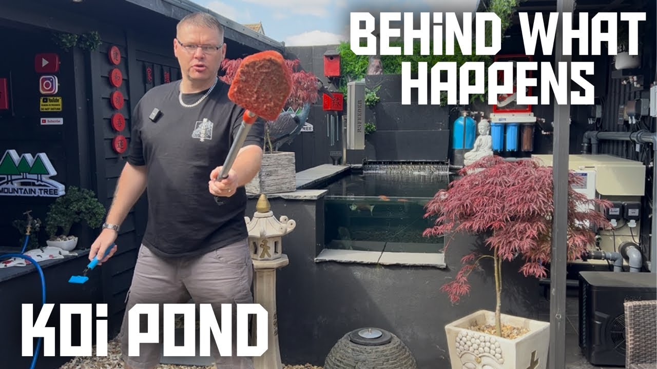 THIS IS SOME OF THE **CRAZY JOBS** I GET UP TO LOOKING AFTER MY KOI PONDS AND FISH THE TRUTH!!