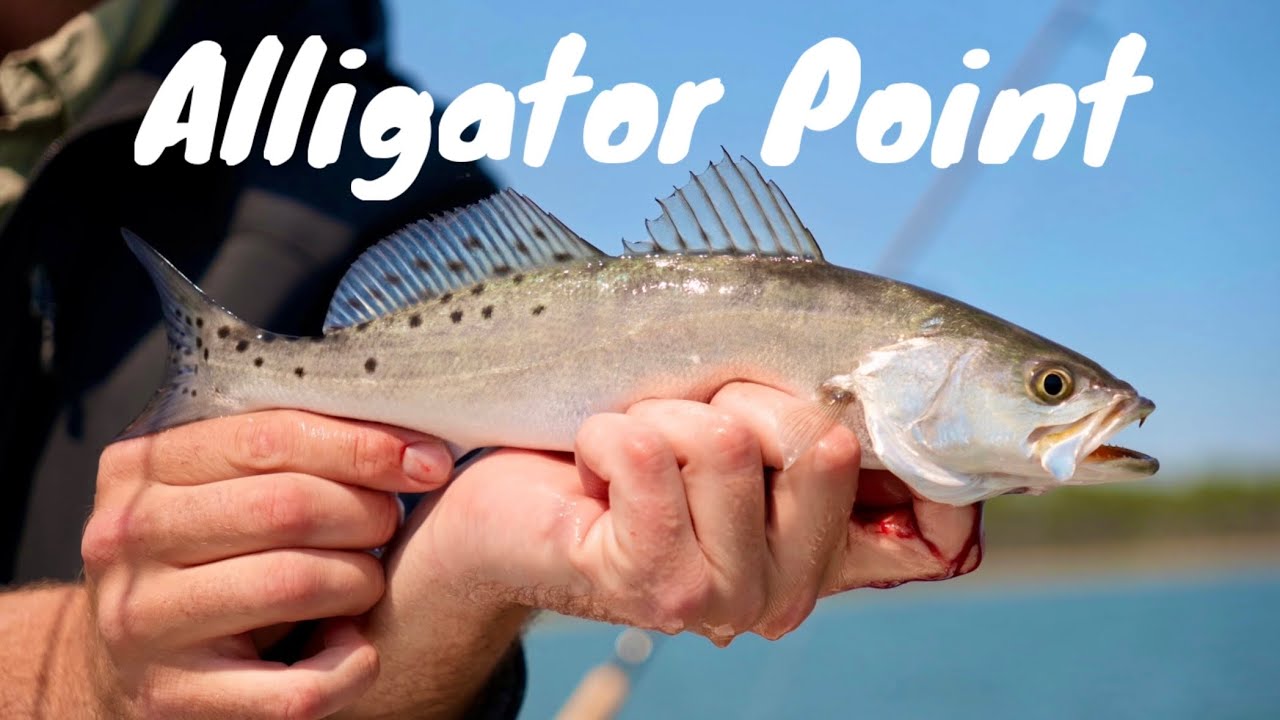 Catching Speckled Trout in Alligator Point | Inshore Fishing Feat. FishingFootprints