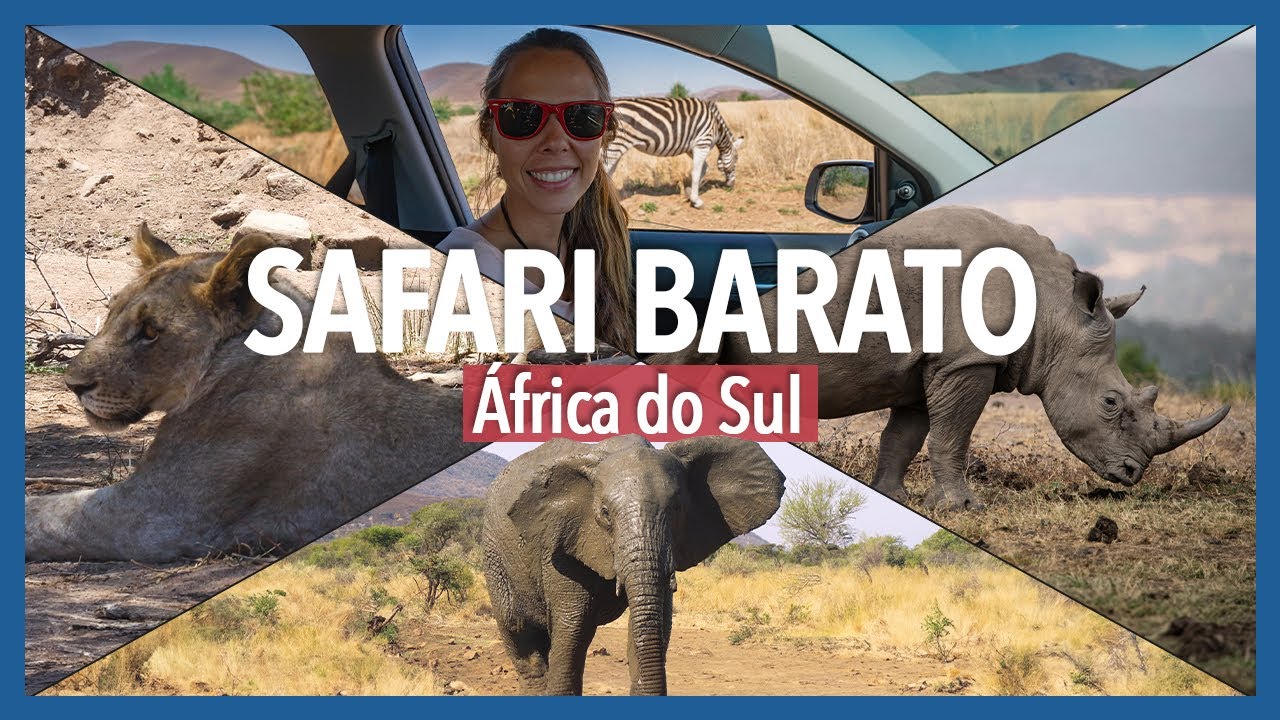 SAFARI BARATO COM SEU CARRO NA AFRICA DO SUL | Pilanesberg Park