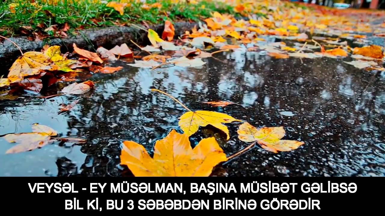 Veysəl - Ey M&uuml;səlman! Başına m&uuml;sibət gəlibsə bil ki, bu 3 səbəbdən birinə g&ouml;rədir