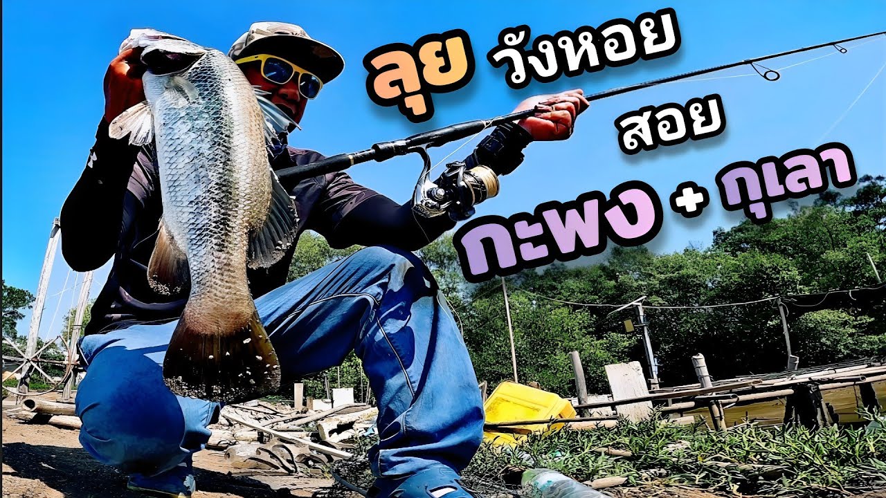 ตกปลากะพง ปลากุเลา วังเลี้ยงหอย .. Plan B มีกับข้าว !!  (Ep.81)​