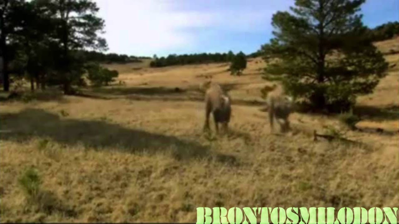 When Dinosaurs Roamed America opening (Dinosaur Planet Style)