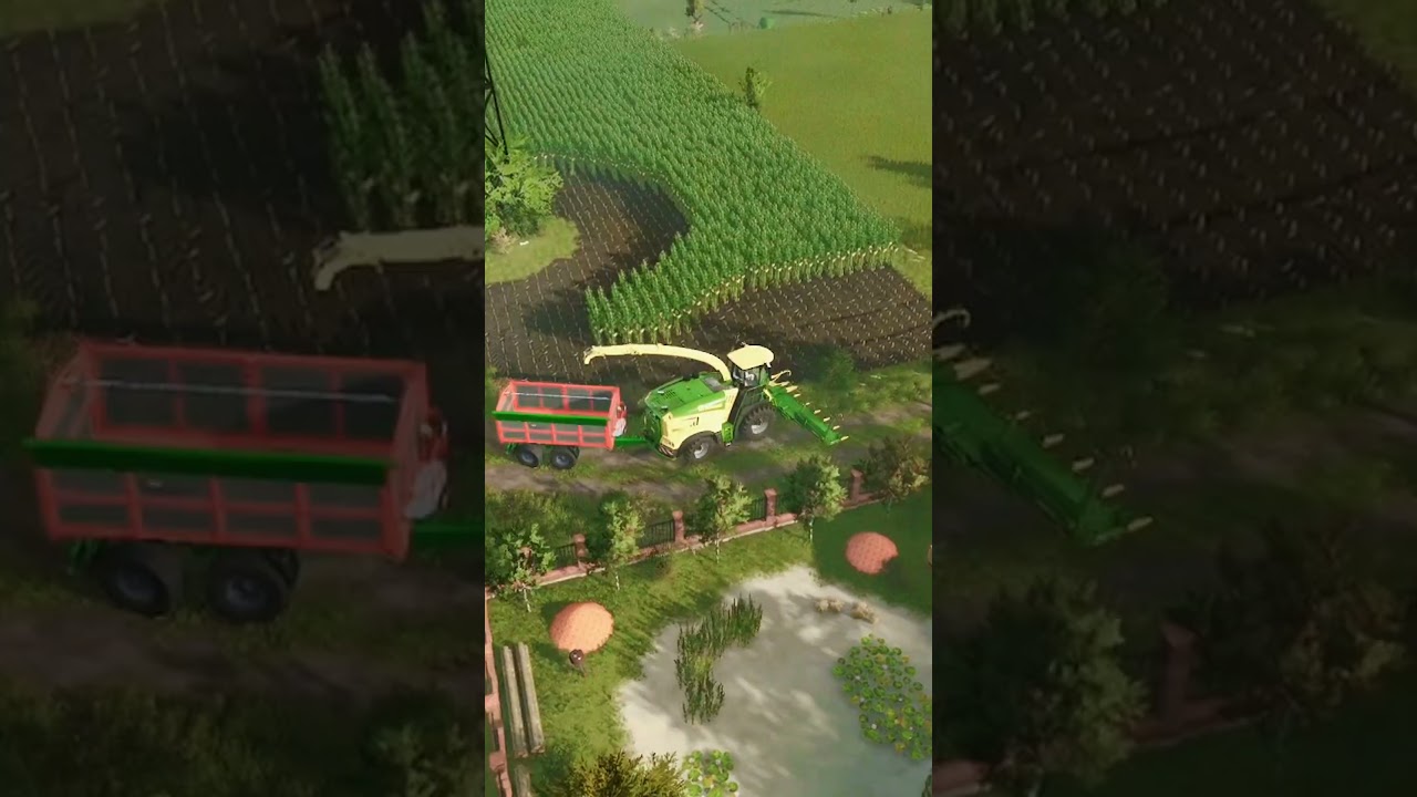 Harvesting of corn for silage | Farming Simulator 25
