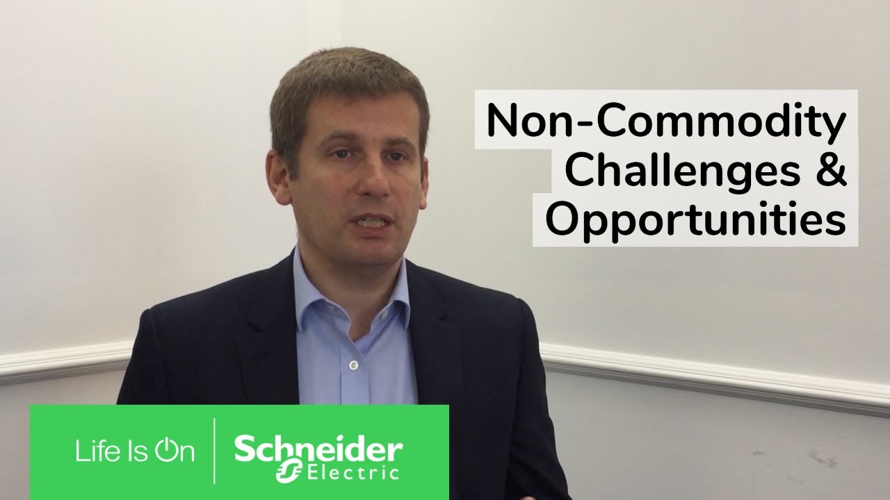 Non-Commodity Optimization: Challenges & Opportunities | Schneider Electric