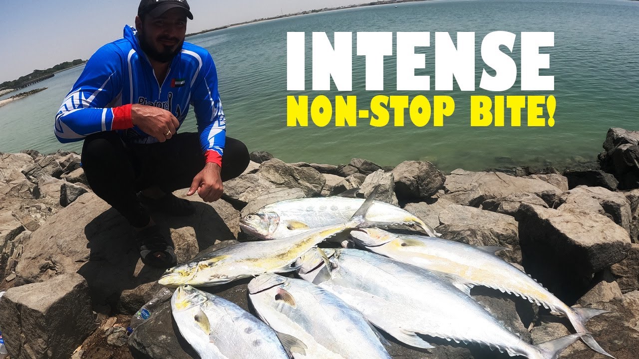 Seven Lucky Huge Strikes || Intense Fight On Abu Dhabi Shore!