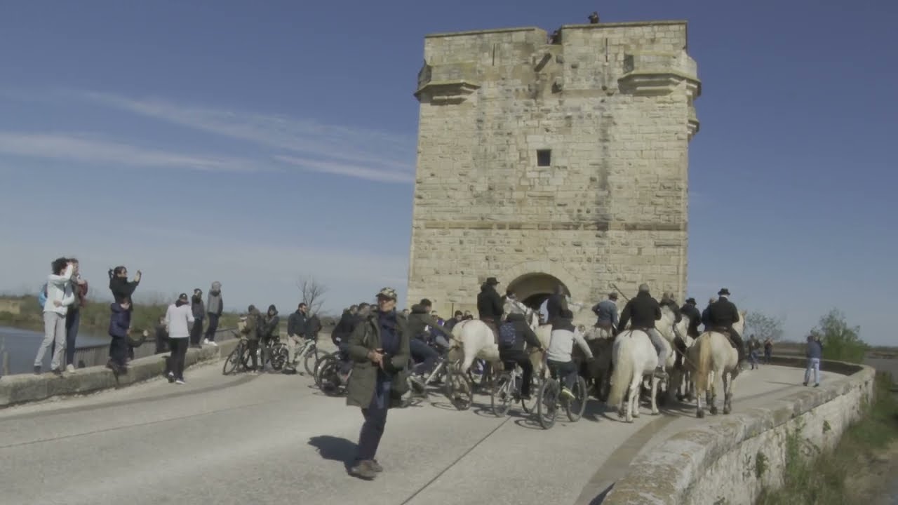 Abrivado de la Tour Carbonnière