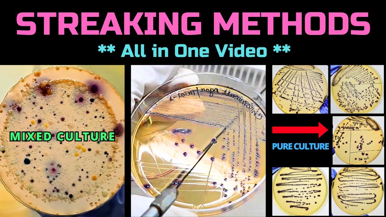 Streaking Method | All Streaking Types in One Video | Result Comparison & Effectiveness