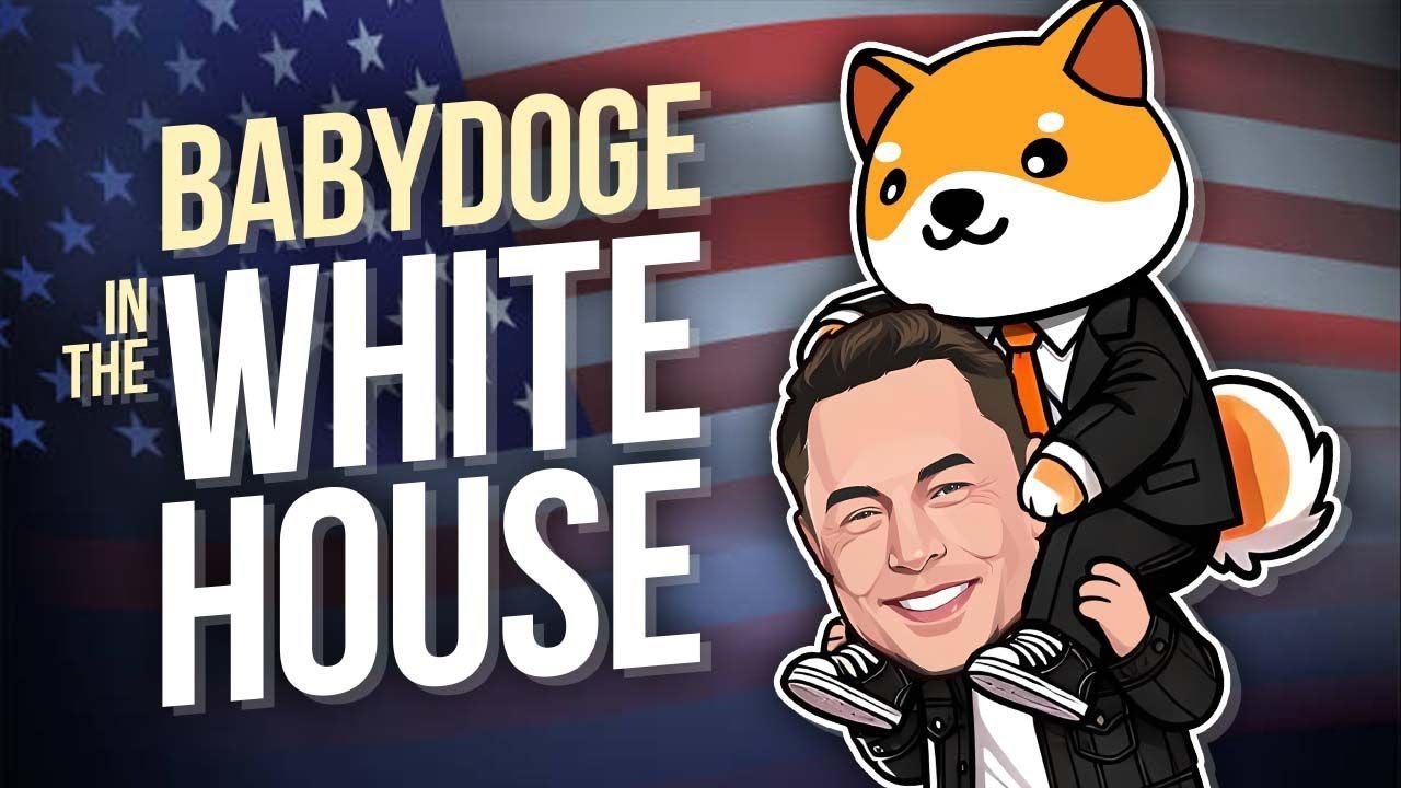BabyDoge Joins D.O.G.E.: PAWS Airdrop Coming Spring 2025! 🐶✨ #Crypto