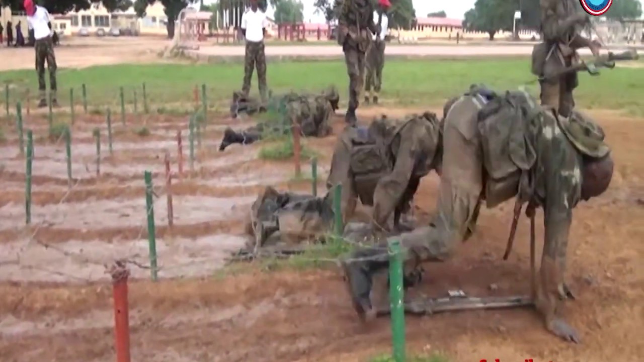 Combat Readiness: Troops On Obstacle Crossing Competition