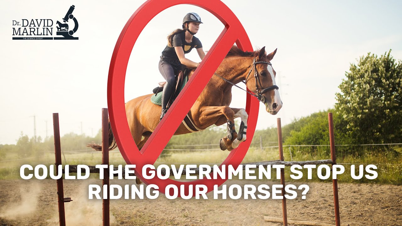 Could the government stop us riding our horses?