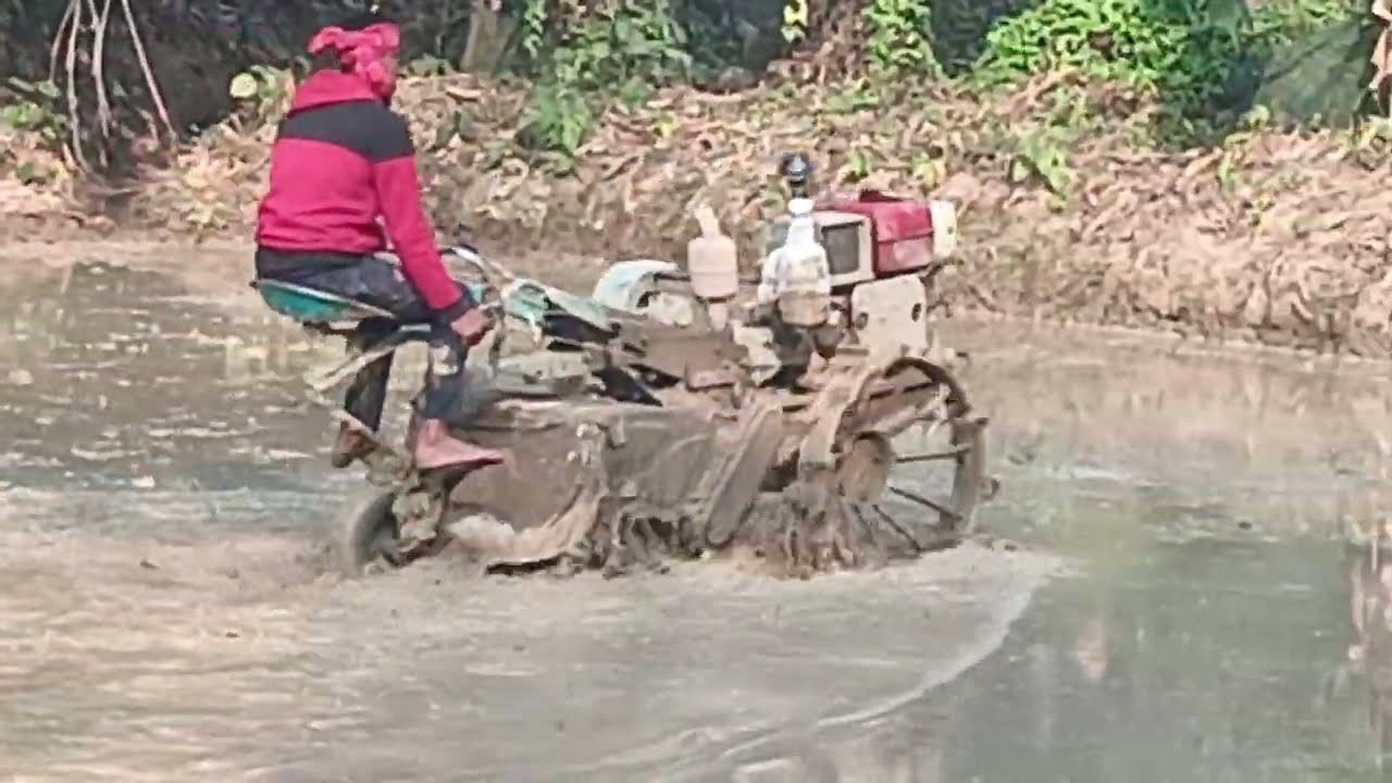 ইরি মৌসুম শুরু 