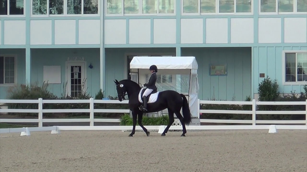 Ebony, Dressage at Devon, Fourth Level Test 2