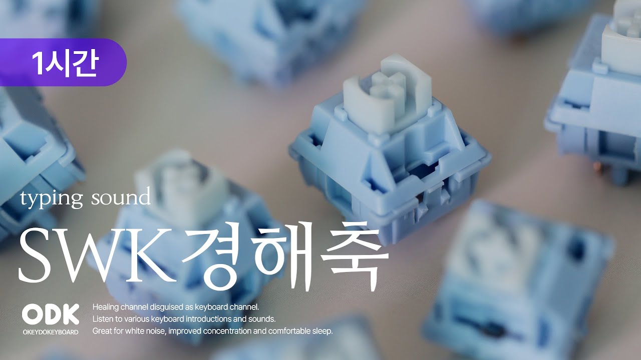 SWK 경해축 리니어