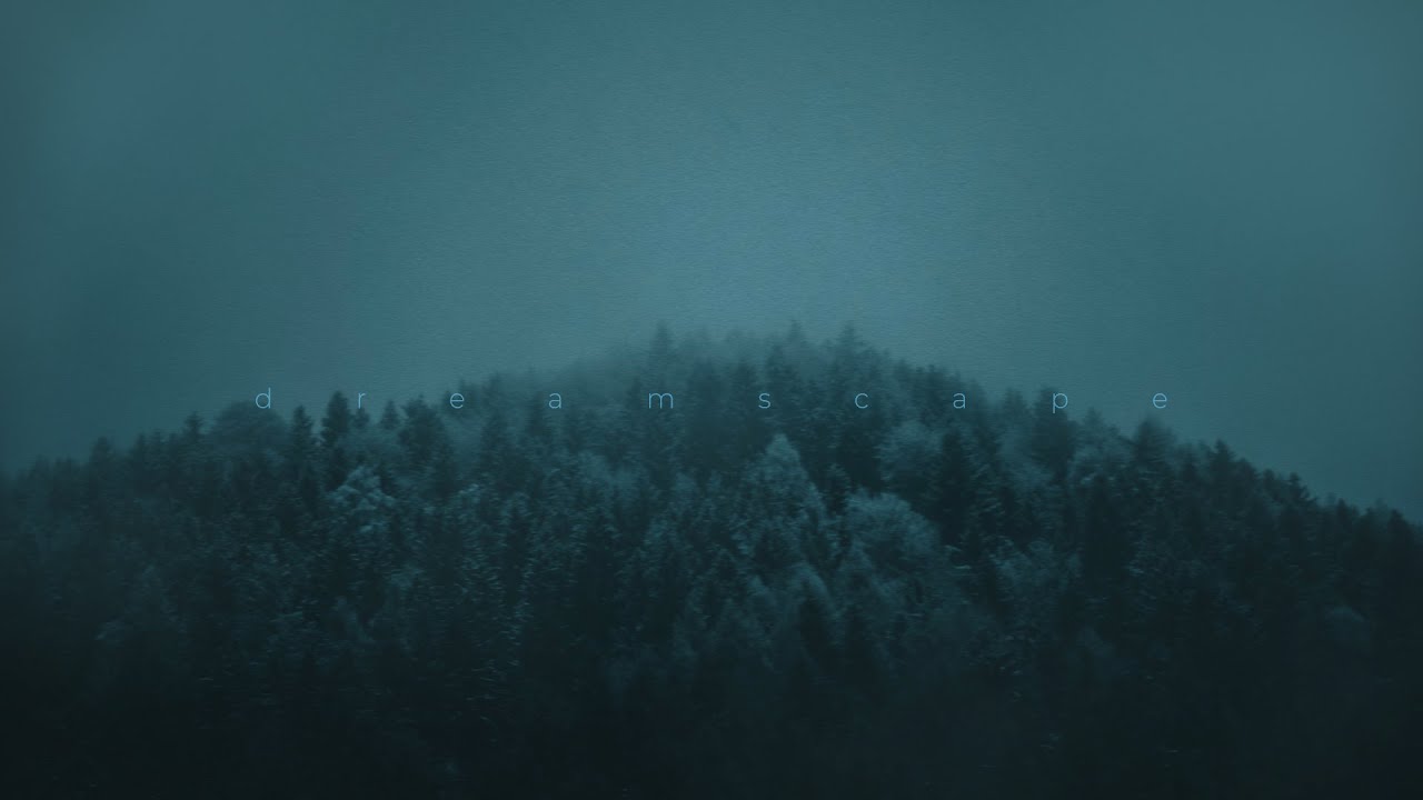 willix - the voices, I hear them...