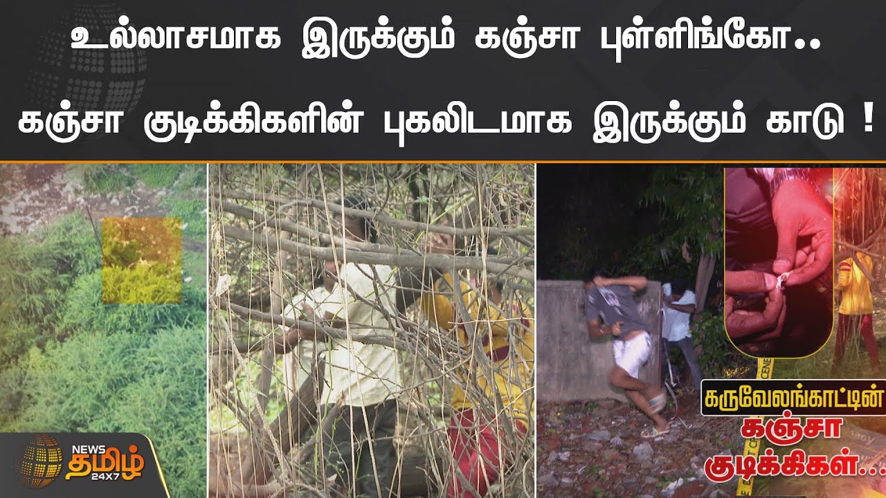 உல்லாசமாக இருக்கும் கஞ்சா புள்ளிங்கோ... கஞ்சா குடிக்கிகளின் புகலிடமாக இருக்கும் காடு |  Kanja