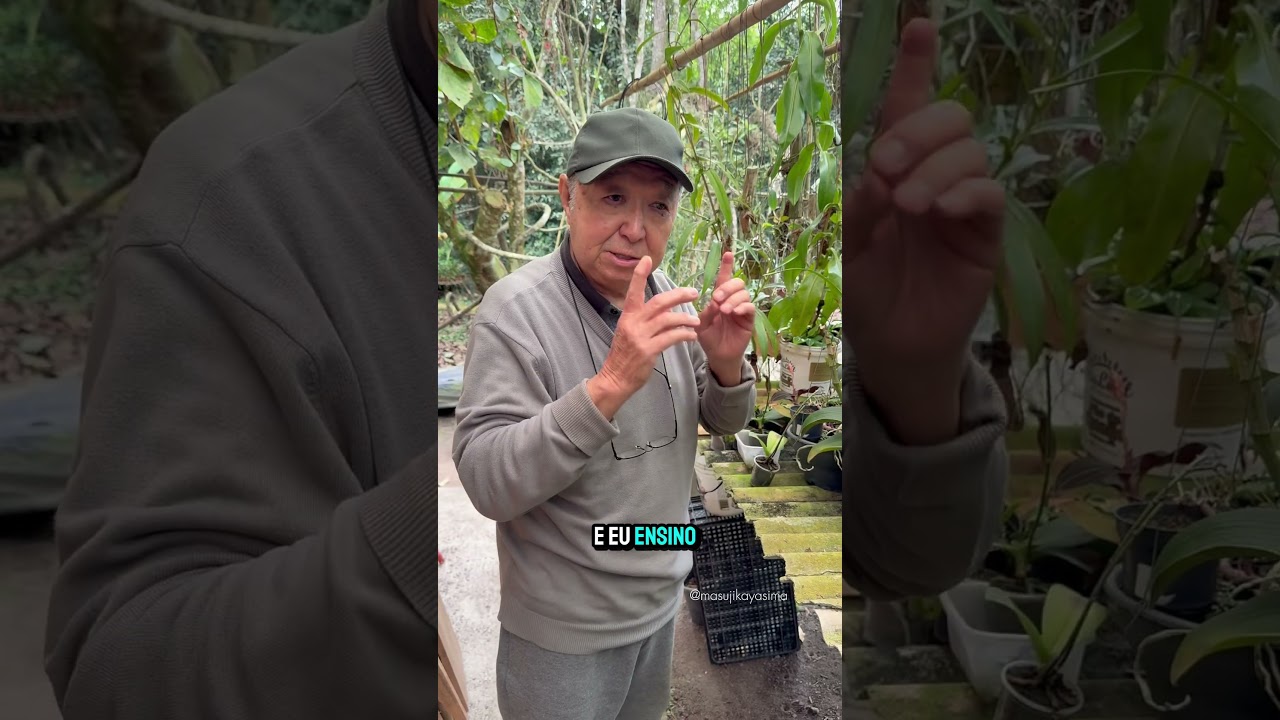 Precisa aprender a regar sua orqu&iacute;dea