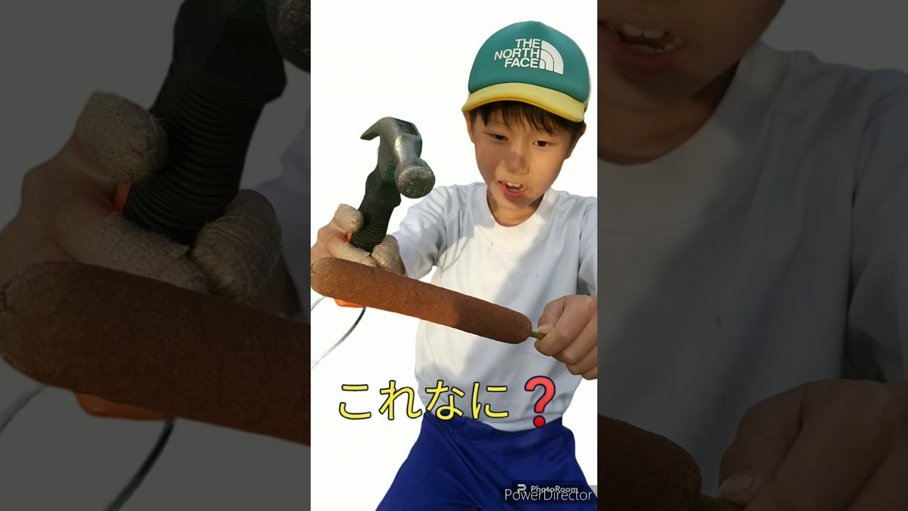 ガマの穂です✨