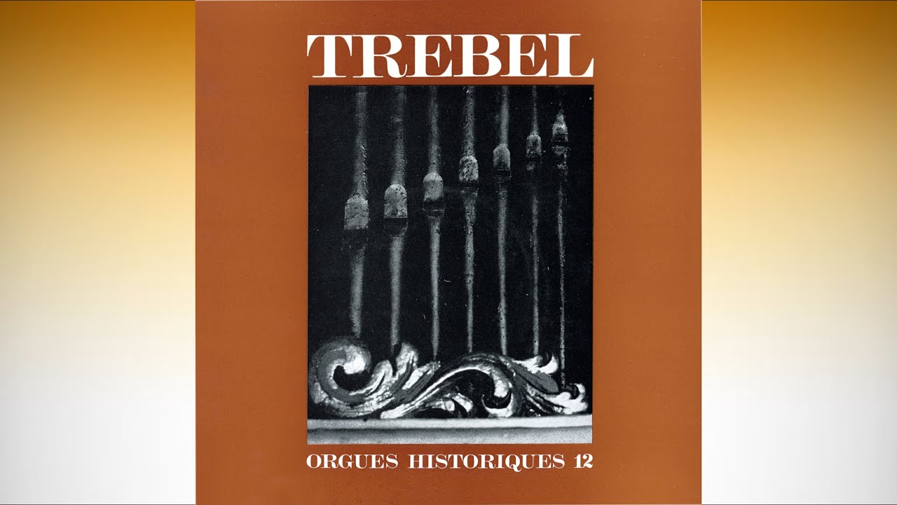 Helmut Winter at the historic organ (1777) of Trebel
