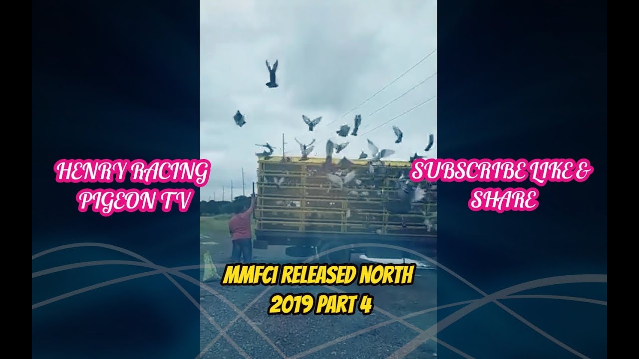 Mmfci RELEASED north 2019 part 4