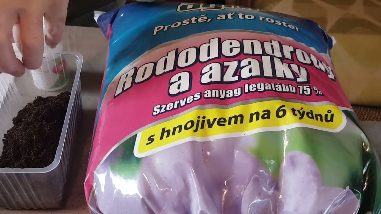 Ցանում եմ հապալասի սերմերը Я сею семена черники I sow the blueberry seeds