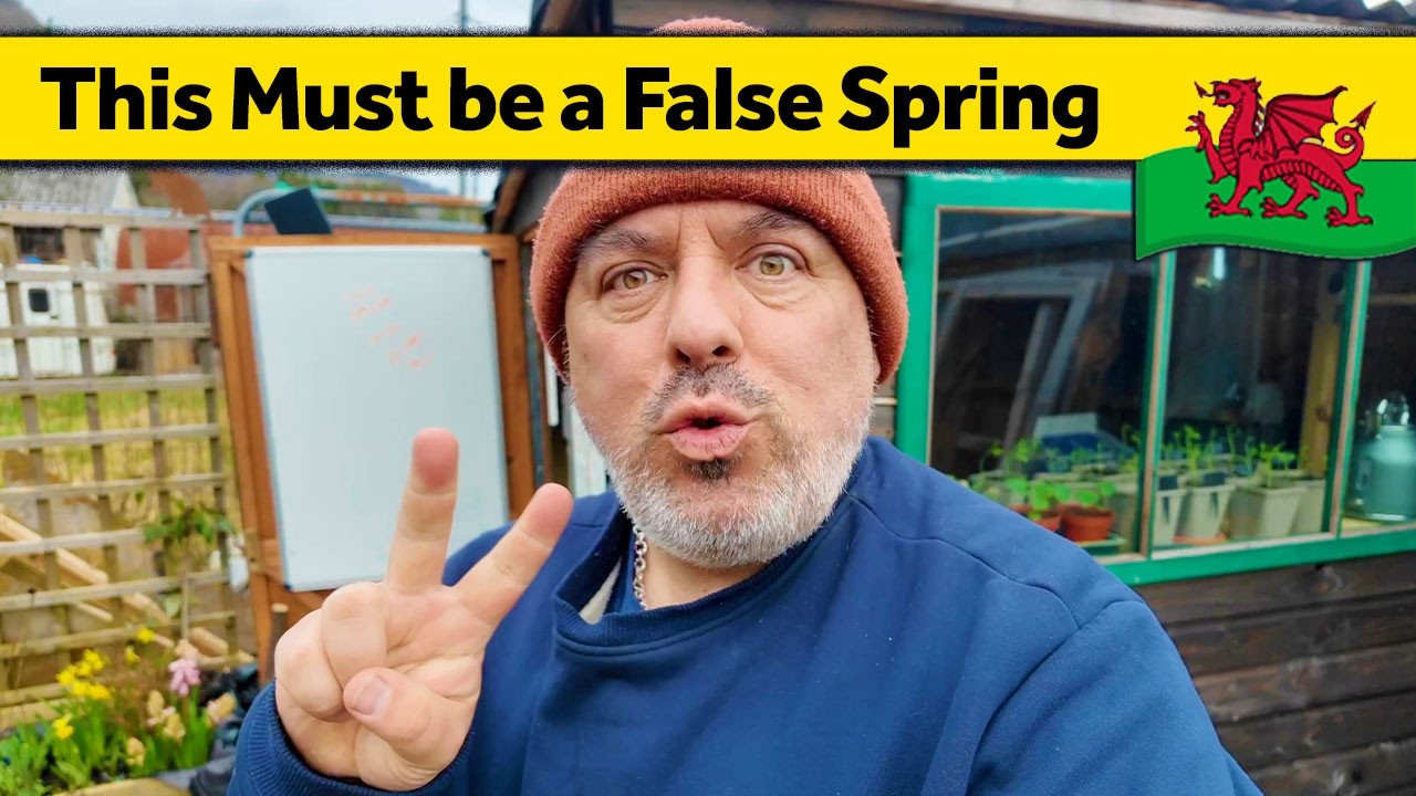 387. Has Spring Finally Arrived? - Slow Living Alone in Wales