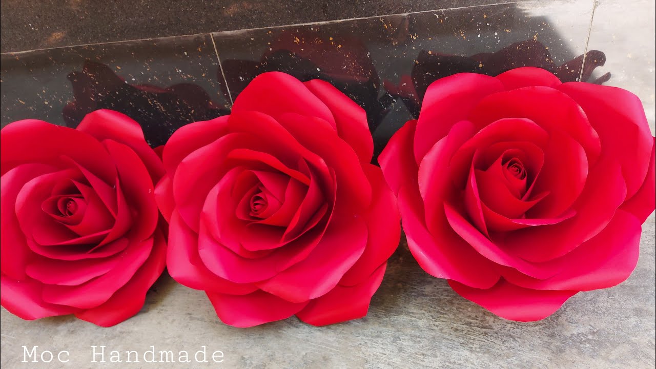 Hướng dẫn làm hoa hồng khổng lồ từ giấy mĩ thuật | how to make giant roses from art paper