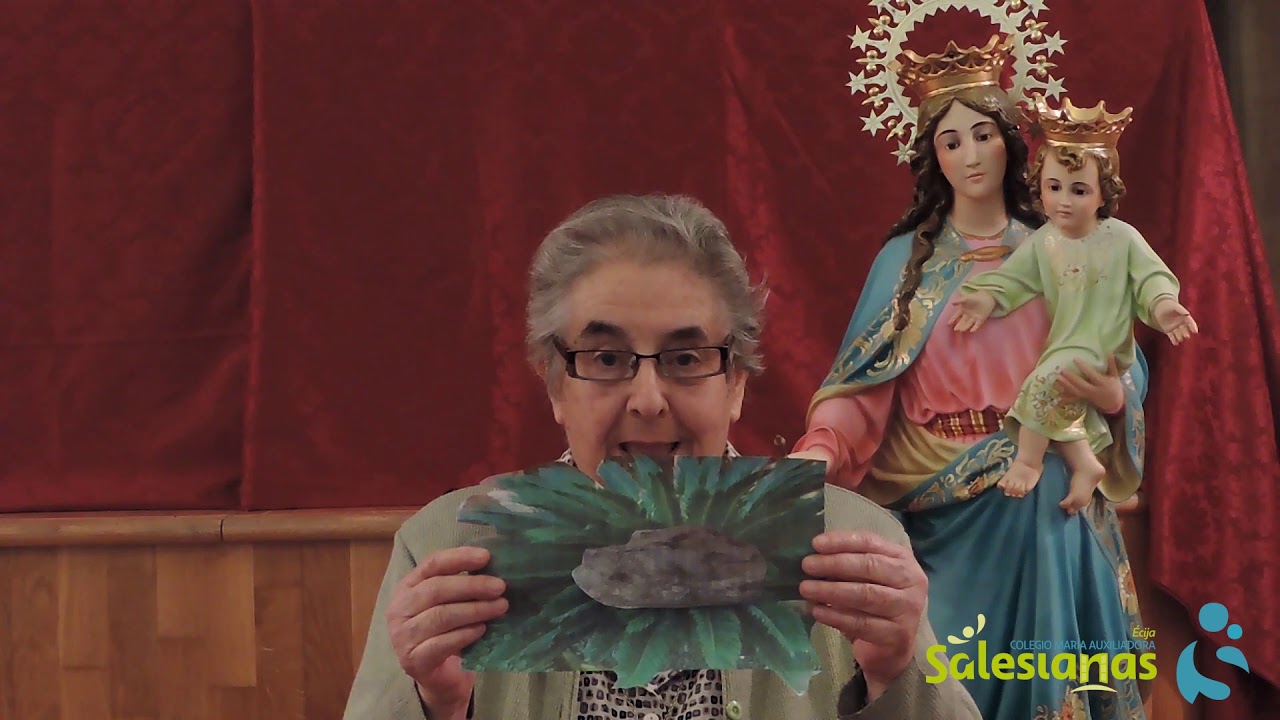 Los Buenos D&iacute;as de Sor Marisa - 