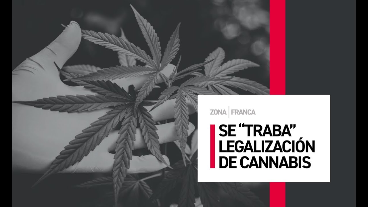 Se 'traba' la legalización de cannabis en adultos