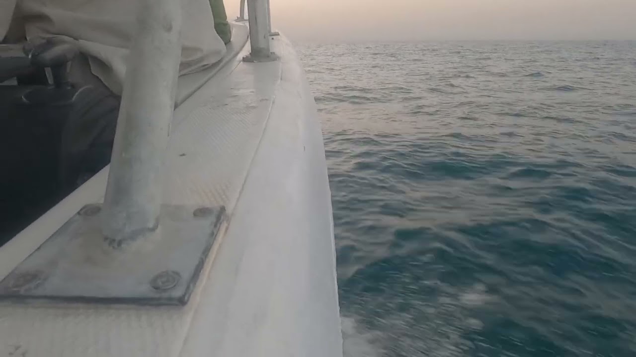 Kuwait boat trip to Kubbar Island