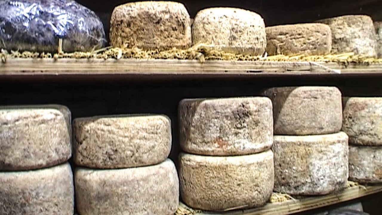 La tomme de Savoie, le fromage aux mille recettes