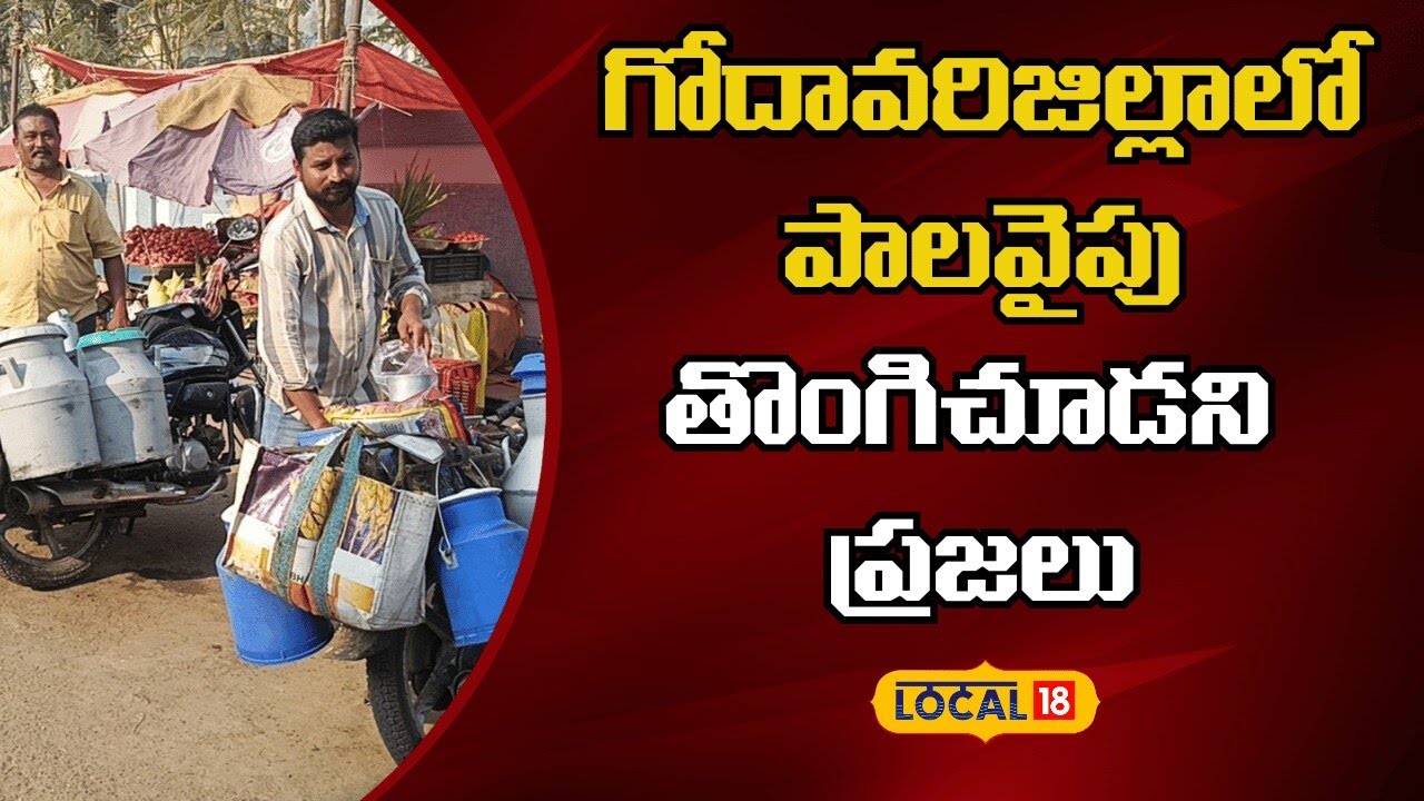 Adulterated Milk Scare  Rajahmundryl | గోదావరిజిల్లాలో పాలవైపు తొంగిచూడని ప్రజలు | #Local18v