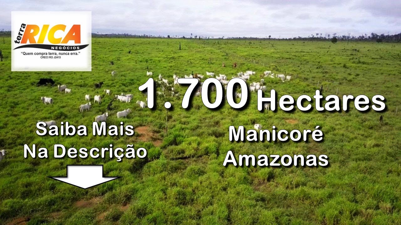 Linda Fazenda à venda com 1.700 Hect.-Manicoré/AM.