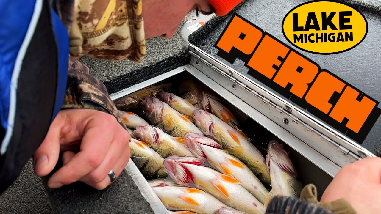 Lake Michigan Perch-Fishing in February