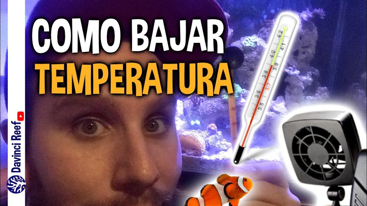 Como bajar la temperatura en tu acuario marino - ¡Cuidado con agregar...